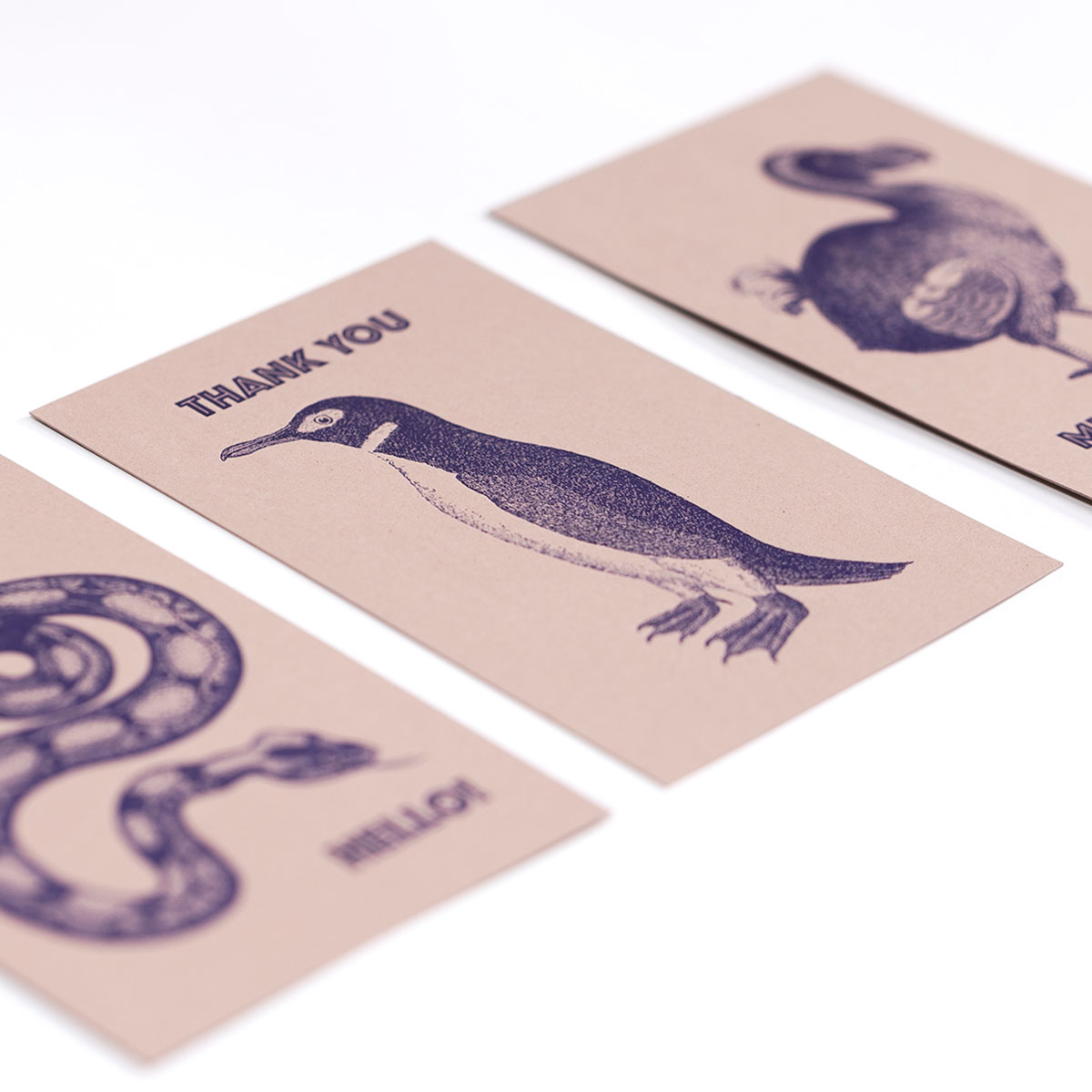typography-letterpress-vintage-postcards