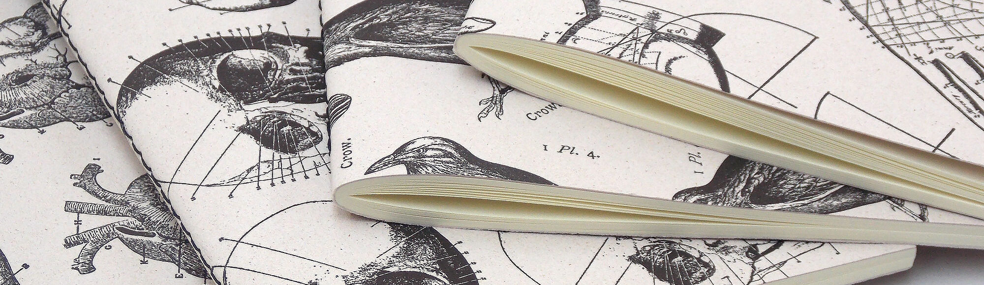 typography-notebooks-skull-crow
